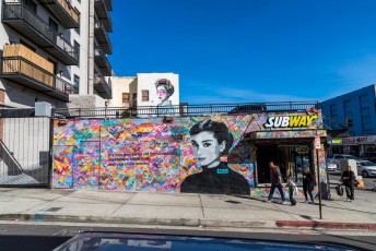 Free Humanity & Finbarr DAC - Winston street / South Los Angeles street - Downtown - Los Angeles