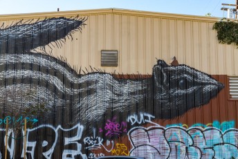 Roa - Imperial street / Jesse street - Downtown - Los Angeles