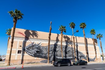 Roa - East Stewart Avenue - Downtown Las Vegas - Avril 2019