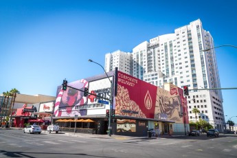 Shepard Fairey - North 6th Street - Downtown Las Vegas - Avril 2019