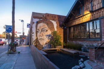 Vhils - Abbot Kinney Boulevard - Venice Beach - Los Angeles - Avril 2019