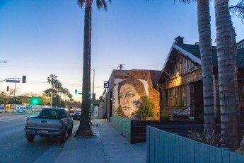 Vhils - Abbot Kinney Boulevard - Venice Beach - Los Angeles - Avril 2019