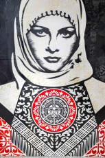 "Facing the giant" exposition de Shepard Fairey à la galerie Itinerrance du 22 juin 2019 au 20 juillet 2019