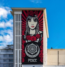 Shepard Fairey - Street Art Fest - Place Pasteur - Grenoble (38) - Juillet 2019