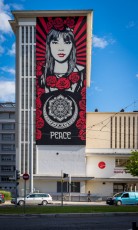 Shepard Fairey - Street Art Fest - Place Pasteur - Grenoble (38) - Juillet 2019