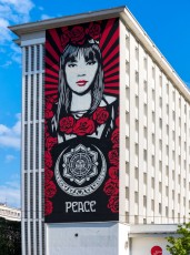 Shepard Fairey - Street Art Fest - Place Pasteur - Grenoble (38) - Juillet 2019