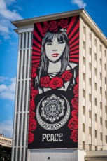 Shepard Fairey - Street Art Fest - Place Pasteur - Grenoble (38) - Juillet 2019