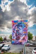 Pichiavo - Street Art Fest - Avenue Aristide Briant - Grenoble (38) - Juillet 2019