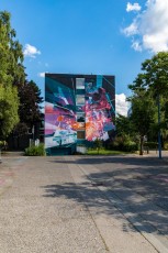 Robert Proch - Street Art Fest - Avenue Aristide Briant - Grenoble (38) - Juillet 2019