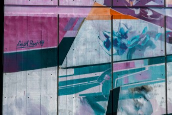 Robert Proch - Street Art Fest - Avenue Aristide Briant - Grenoble (38) - Juillet 2019