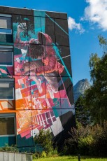 Robert Proch - Street Art Fest - Avenue Aristide Briant - Grenoble (38) - Juillet 2019