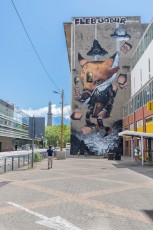 Veks Van Hillk -Street Art Fest -  Boulevard du Maréchal Lyautey - Grenoble (38) - Juillet 2019