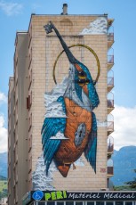 Veks Van Hillk -Street Art Fest -  Avenue Gabriel Péri - Grenoble (38) - Juillet 2019