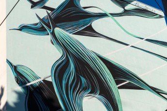 Pantonio -Street Art Fest - Avenue du Maréchal Randon - Grenoble (38) - Juillet 2019