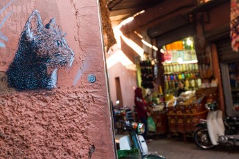 C215 à Marrakech - Décembre 2016