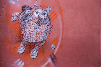 C215 à Marrakech - Décembre 2016