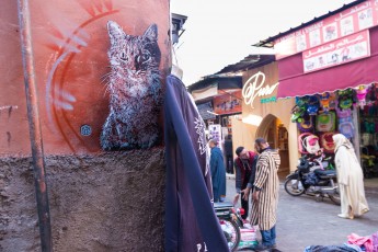 C215 à Marrakech - Décembre 2016