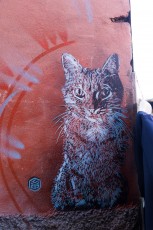 C215 à Marrakech - Décembre 2016