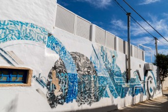 Zepha - Pour Djerbahhod - Erriadh - Février 2020