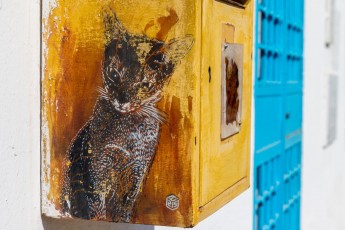 C215 - Pour Djerbahhod - Erriadh - Février 2020