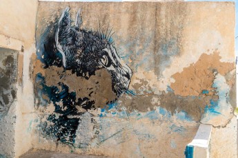 C215 - Pour Djerbahhod - Erriadh - Février 2020