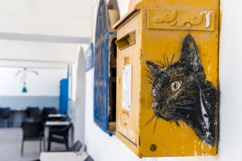 C215 - Pour Djerbahhod - Erriadh - Février 2020