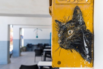 C215 - Pour Djerbahhod - Erriadh - Février 2020