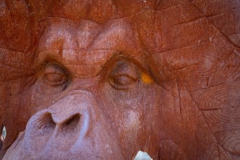 "Anomal" exposition de Quentin Garel au domaine de Chamarande (91) du 25 janvier au 29 mars 2020. Prolongations jusqu'au 14 juin 2020.