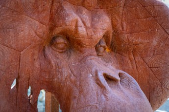 "Anomal" exposition de Quentin Garel au domaine de Chamarande (91) du 25 janvier au 29 mars 2020. Prolongations jusqu'au 14 juin 2020.