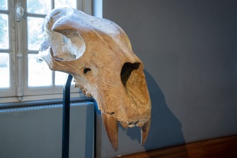 "Anomal" exposition de Quentin Garel au domaine de Chamarande (91) du 25 janvier au 29 mars 2020. Prolongations jusqu'au 14 juin 2020.