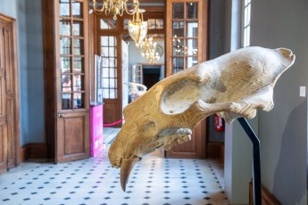 "Anomal" exposition de Quentin Garel au domaine de Chamarande (91) du 25 janvier au 29 mars 2020. Prolongations jusqu'au 14 juin 2020.