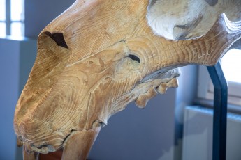 "Anomal" exposition de Quentin Garel au domaine de Chamarande (91) du 25 janvier au 29 mars 2020. Prolongations jusqu'au 14 juin 2020.