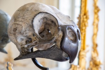 "Anomal" exposition de Quentin Garel au domaine de Chamarande (91) du 25 janvier au 29 mars 2020. Prolongations jusqu'au 14 juin 2020.