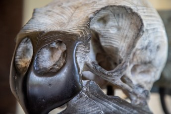 "Anomal" exposition de Quentin Garel au domaine de Chamarande (91) du 25 janvier au 29 mars 2020. Prolongations jusqu'au 14 juin 2020.