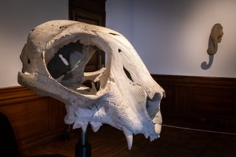 "Anomal" exposition de Quentin Garel au domaine de Chamarande (91) du 25 janvier au 29 mars 2020. Prolongations jusqu'au 14 juin 2020.