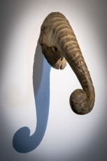 "Anomal" exposition de Quentin Garel au domaine de Chamarande (91) du 25 janvier au 29 mars 2020. Prolongations jusqu'au 14 juin 2020.