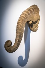 "Anomal" exposition de Quentin Garel au domaine de Chamarande (91) du 25 janvier au 29 mars 2020. Prolongations jusqu'au 14 juin 2020.