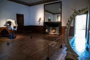 "Anomal" exposition de Quentin Garel au domaine de Chamarande (91) du 25 janvier au 29 mars 2020. Prolongations jusqu'au 14 juin 2020.