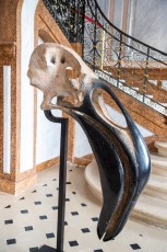 "Anomal" exposition de Quentin Garel au domaine de Chamarande (91) du 25 janvier au 29 mars 2020. Prolongations jusqu'au 14 juin 2020.