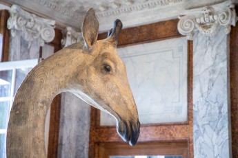 "Anomal" exposition de Quentin Garel au domaine de Chamarande (91) du 25 janvier au 29 mars 2020. Prolongations jusqu'au 14 juin 2020.