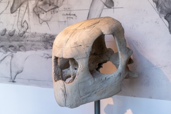 "Anomal" exposition de Quentin Garel au domaine de Chamarande (91) du 25 janvier au 29 mars 2020. Prolongations jusqu'au 14 juin 2020.