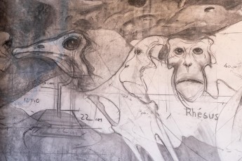 "Anomal" exposition de Quentin Garel au domaine de Chamarande (91) du 25 janvier au 29 mars 2020. Prolongations jusqu'au 14 juin 2020.