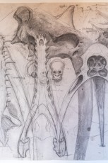 "Anomal" exposition de Quentin Garel au domaine de Chamarande (91) du 25 janvier au 29 mars 2020. Prolongations jusqu'au 14 juin 2020.