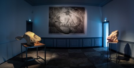 "Anomal" exposition de Quentin Garel au domaine de Chamarande (91) du 25 janvier au 29 mars 2020. Prolongations jusqu'au 14 juin 2020.