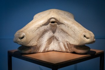 "Anomal" exposition de Quentin Garel au domaine de Chamarande (91) du 25 janvier au 29 mars 2020. Prolongations jusqu'au 14 juin 2020.