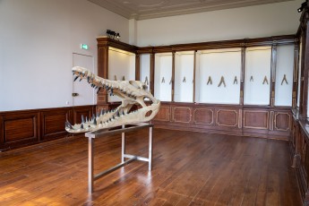 "Anomal" exposition de Quentin Garel au domaine de Chamarande (91) du 25 janvier au 29 mars 2020. Prolongations jusqu'au 14 juin 2020.