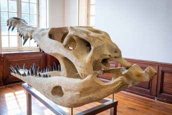 "Anomal" exposition de Quentin Garel au domaine de Chamarande (91) du 25 janvier au 29 mars 2020. Prolongations jusqu'au 14 juin 2020.