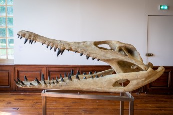 "Anomal" exposition de Quentin Garel au domaine de Chamarande (91) du 25 janvier au 29 mars 2020. Prolongations jusqu'au 14 juin 2020.