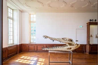 "Anomal" exposition de Quentin Garel au domaine de Chamarande (91) du 25 janvier au 29 mars 2020. Prolongations jusqu'au 14 juin 2020.