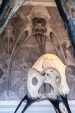 "Anomal" exposition de Quentin Garel au domaine de Chamarande (91) du 25 janvier au 29 mars 2020. Prolongations jusqu'au 14 juin 2020.